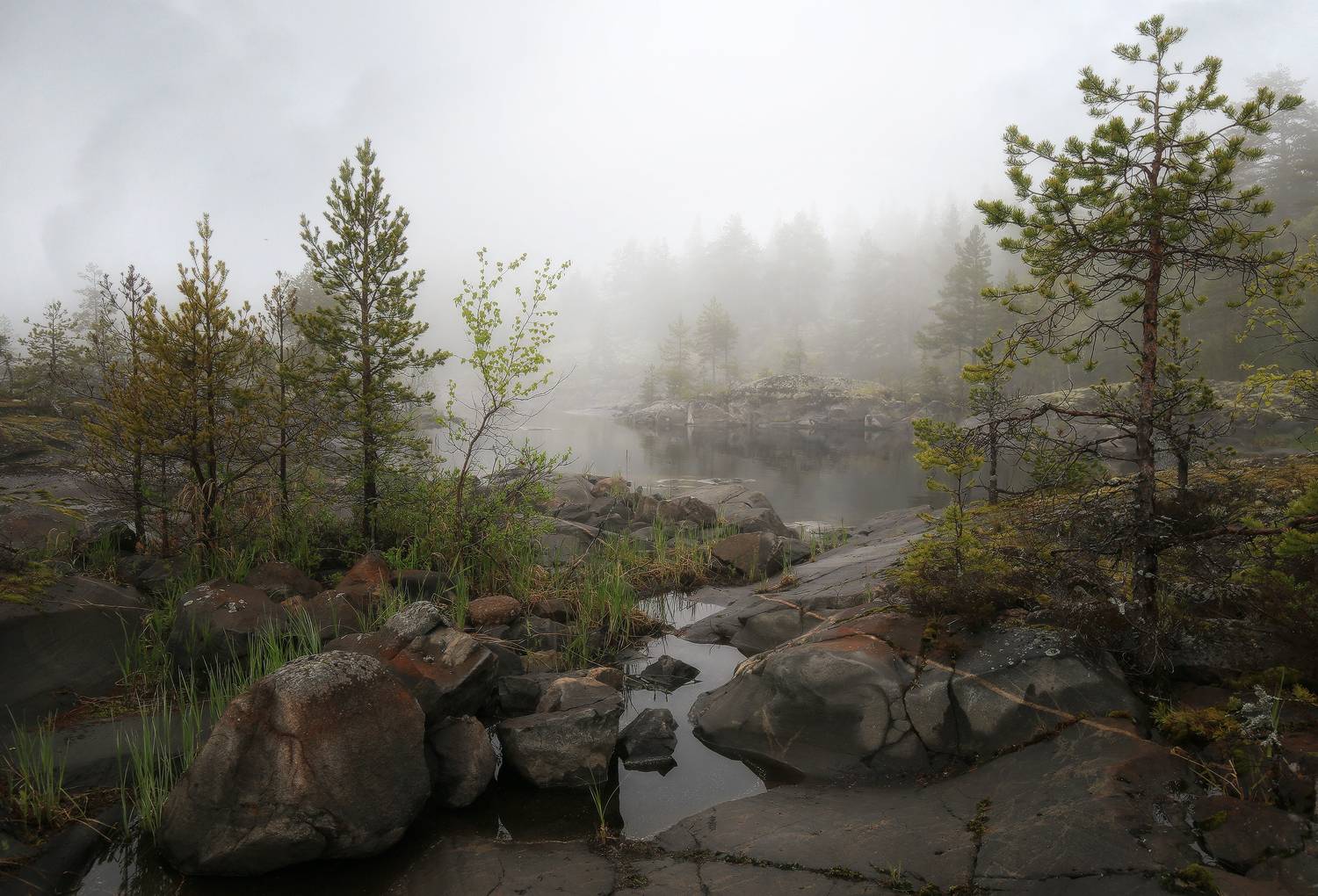 ладога, карелия, ладожские шхеры, Галина Хвостенко
