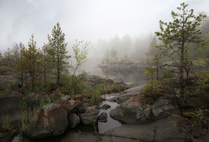Прохлада туманного утра фото превью