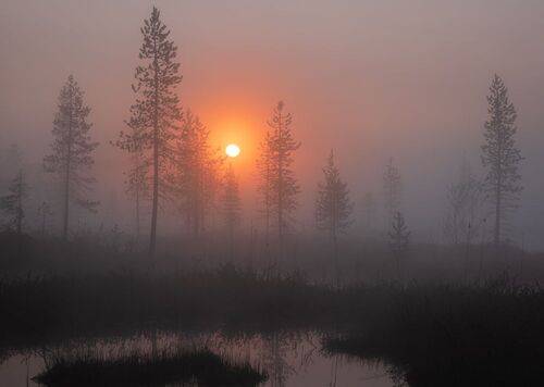 Кольские рассветы 