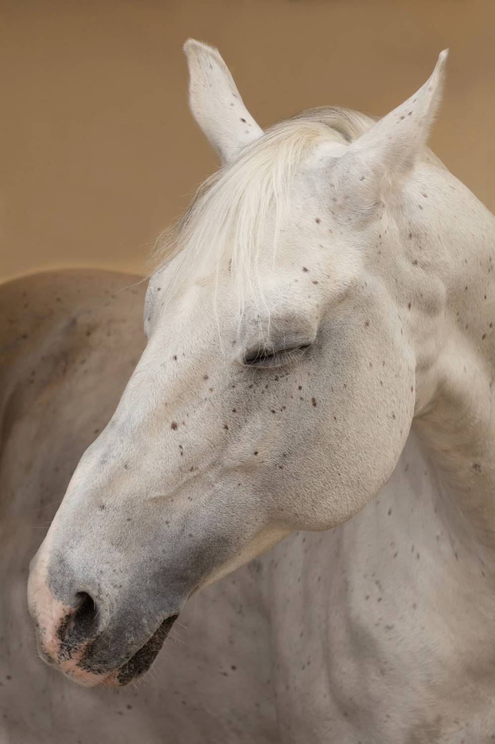 , Наталья Герцен