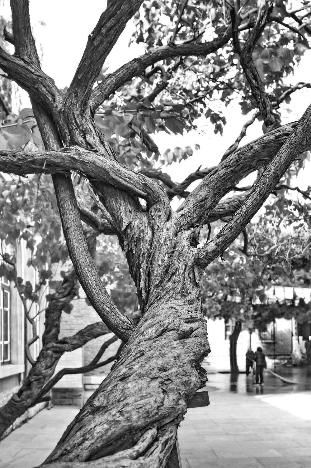 , Гагик Мхитарян