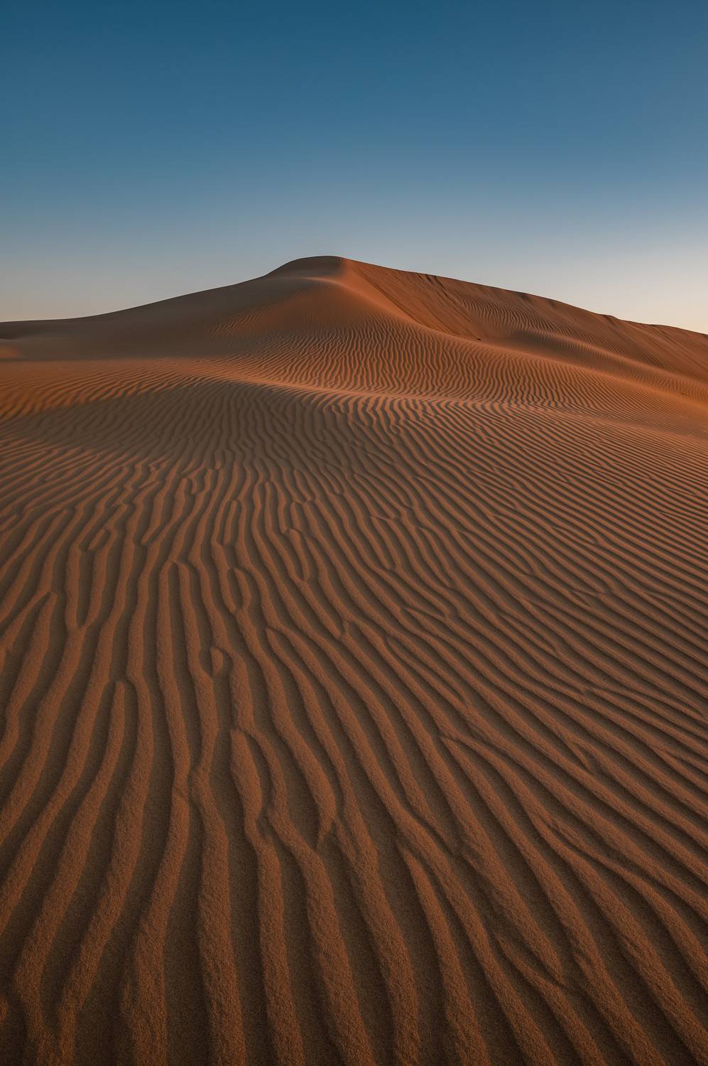 , Перевозчиков Андрей