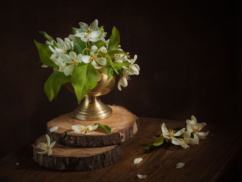 фото превью