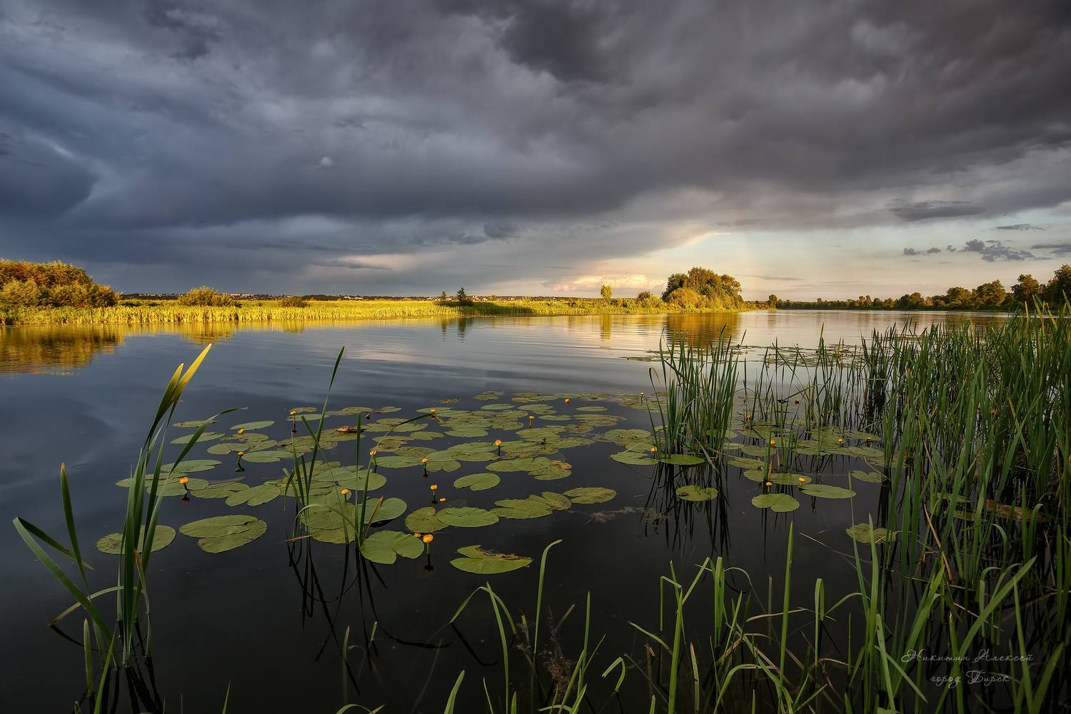 , Никитин Алексей