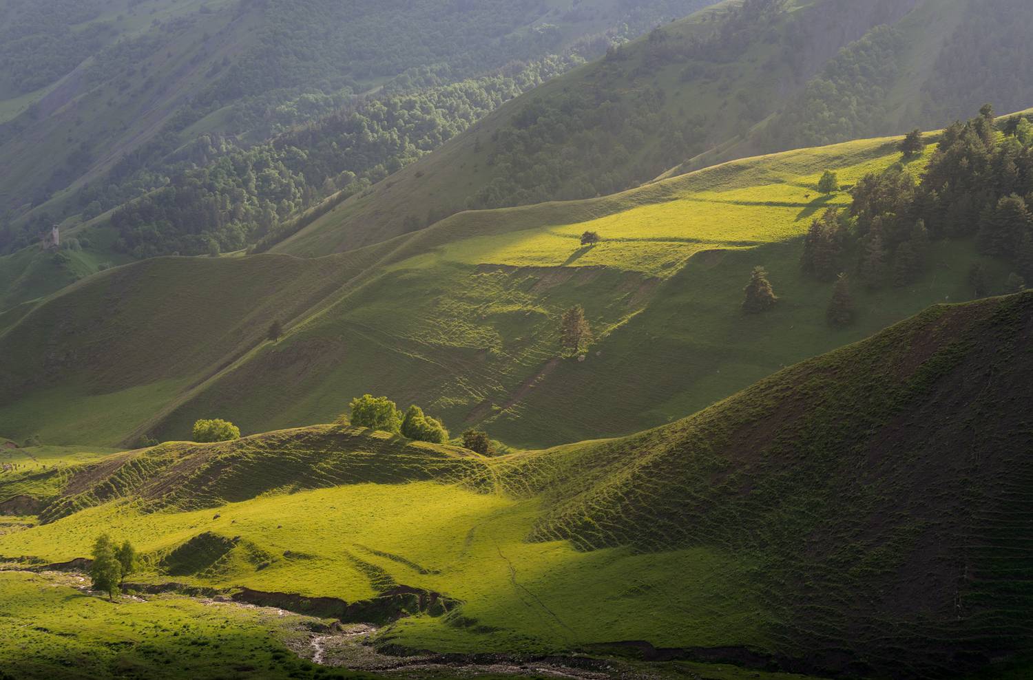 кавказ, ингушетия, эрзи, Роман Фабричный