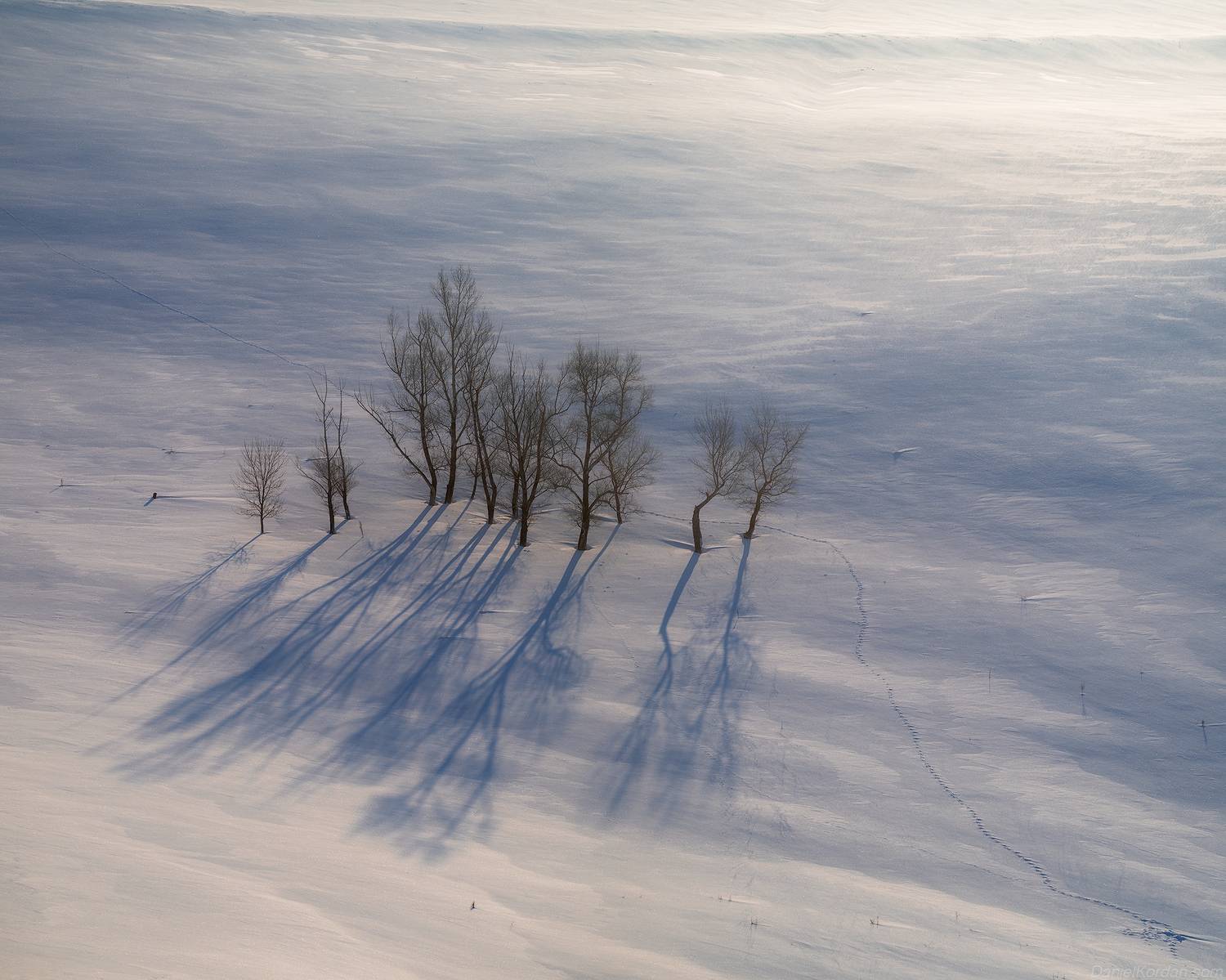 , Даниил Коржонов