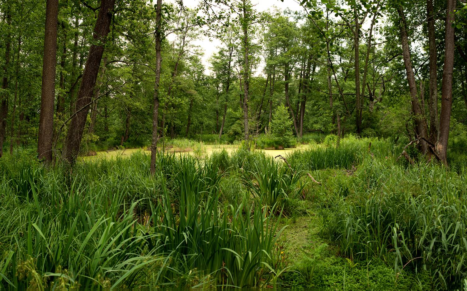 , Рукин Иван