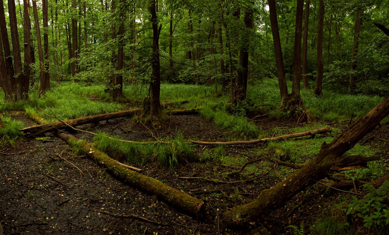 , Рукин Иван