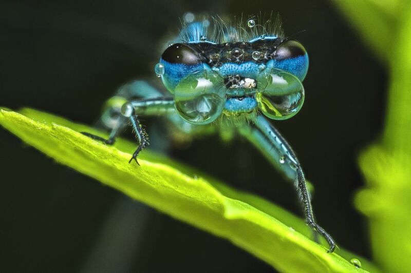 With glasses фото превью