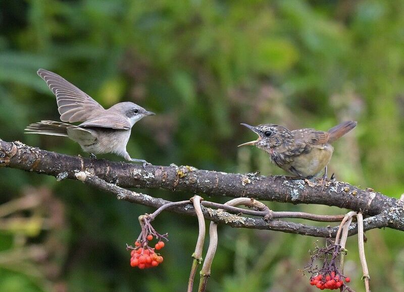 Конфликт на ровном месте фото превью