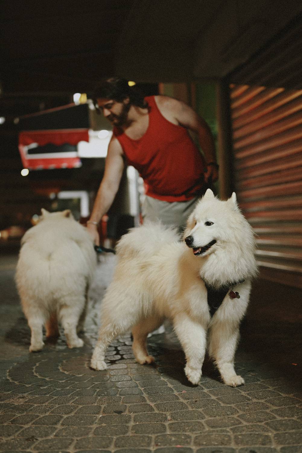 , Щеглова Марина