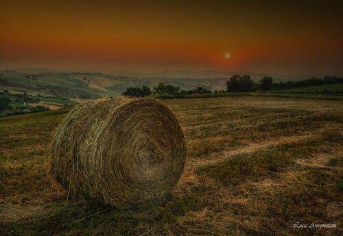 Waiting for the dawn