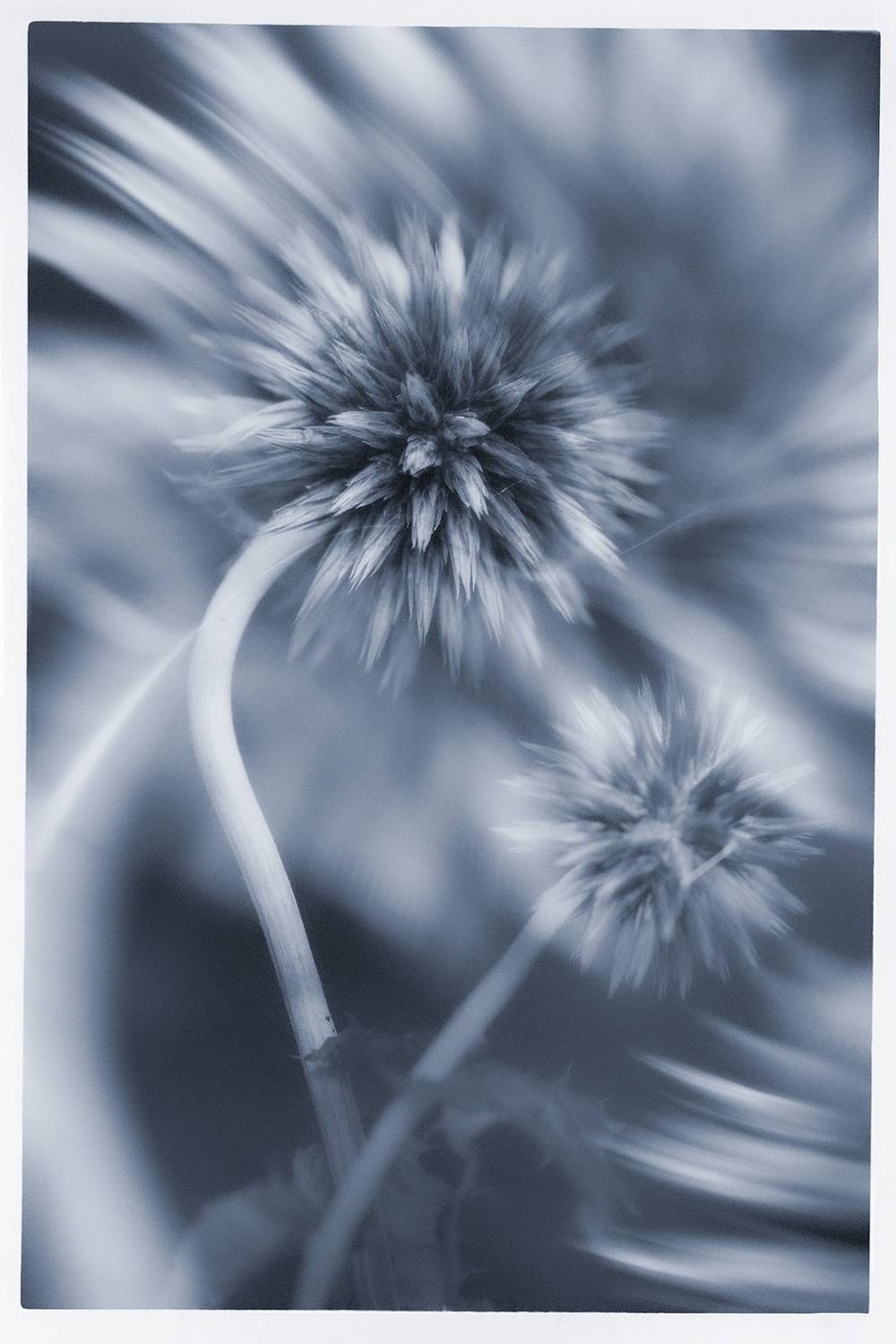 , Михаил Кабанов