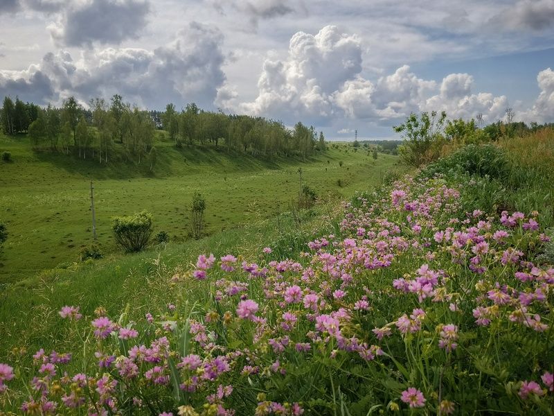фото превью