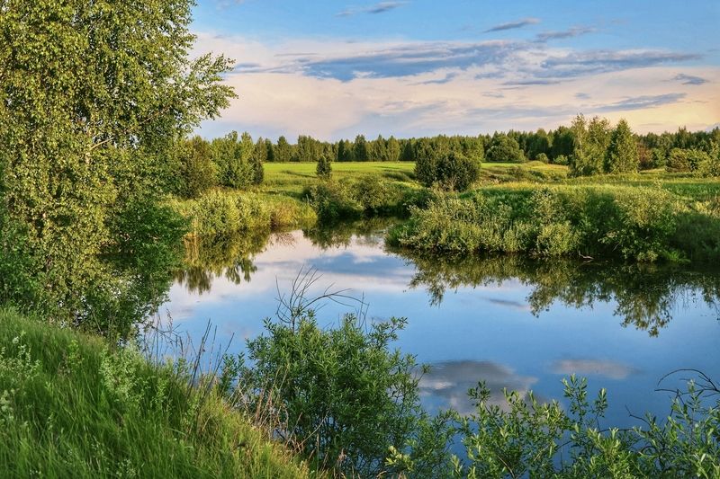 пейзаж *** фото превью
