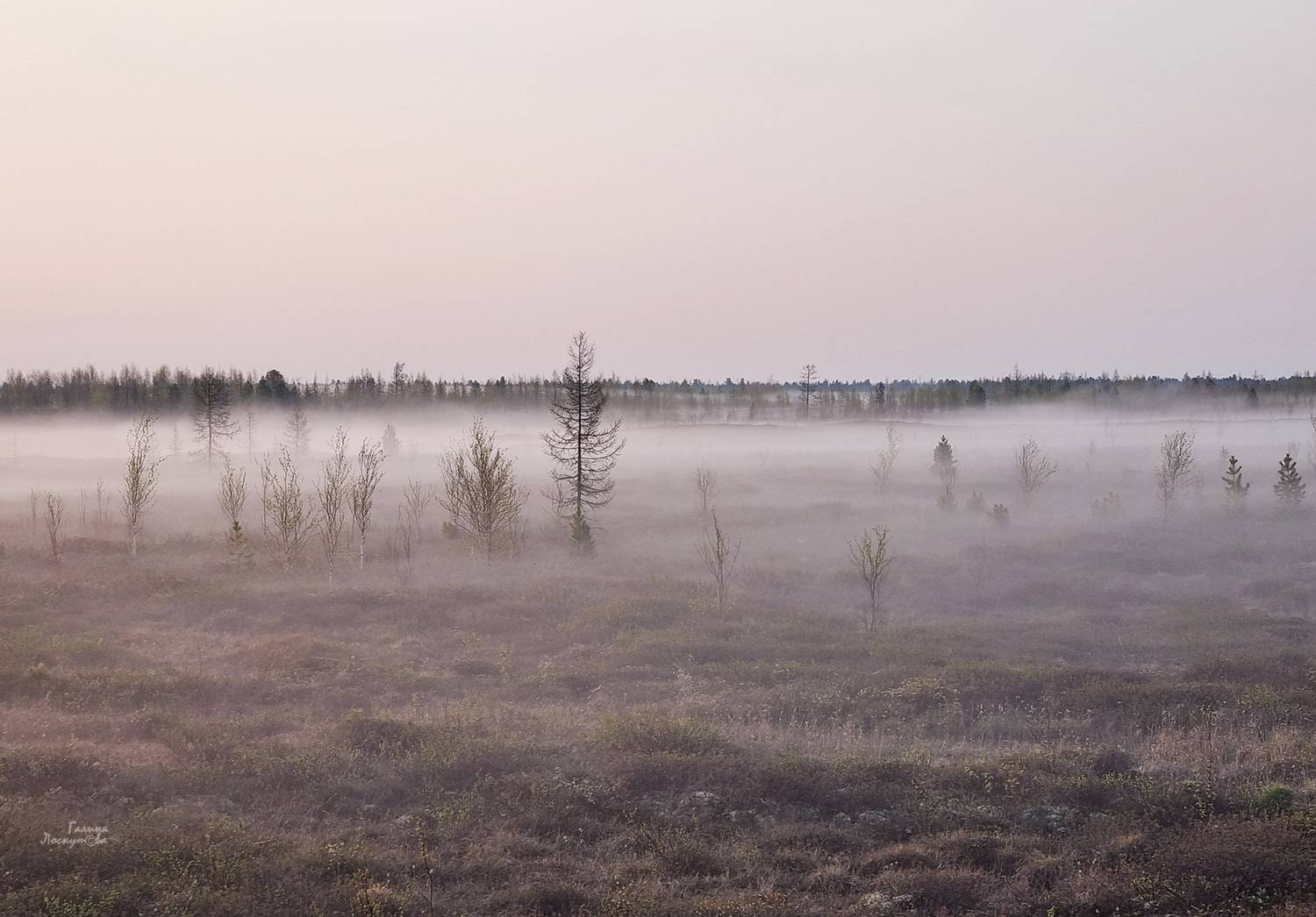 тундра, туман, северная природа, утро, воздушная перспектива, Галина Лоскутова