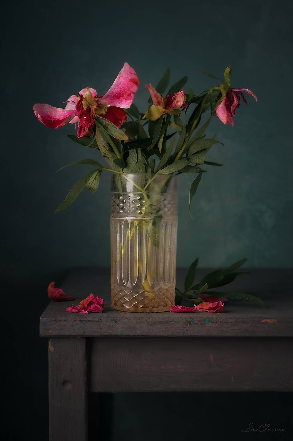 , Чернин Дмитрий