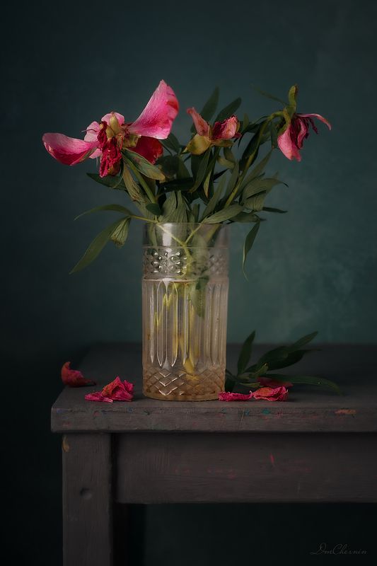 .... фото превью