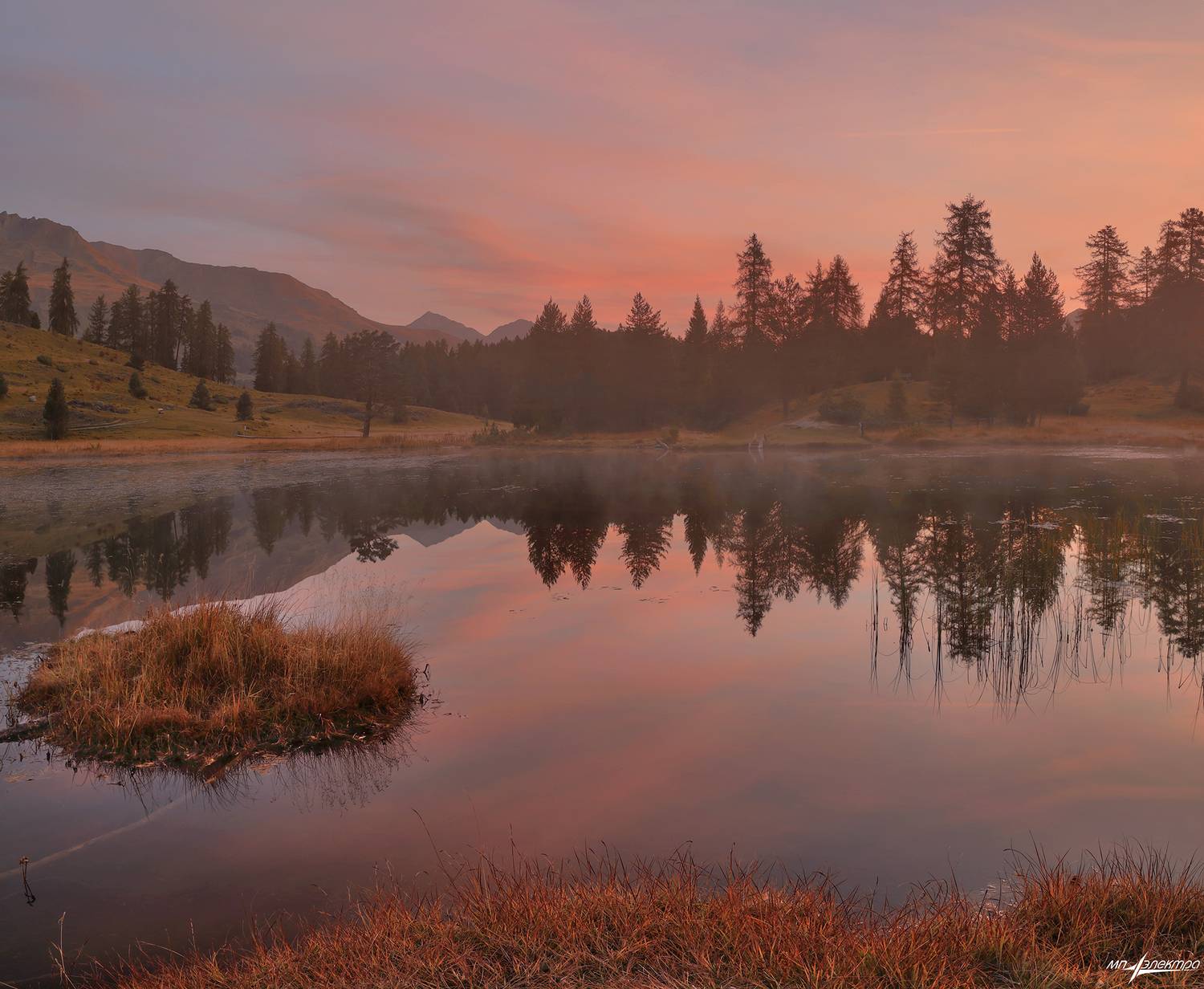 swiss, Матвеев Николай