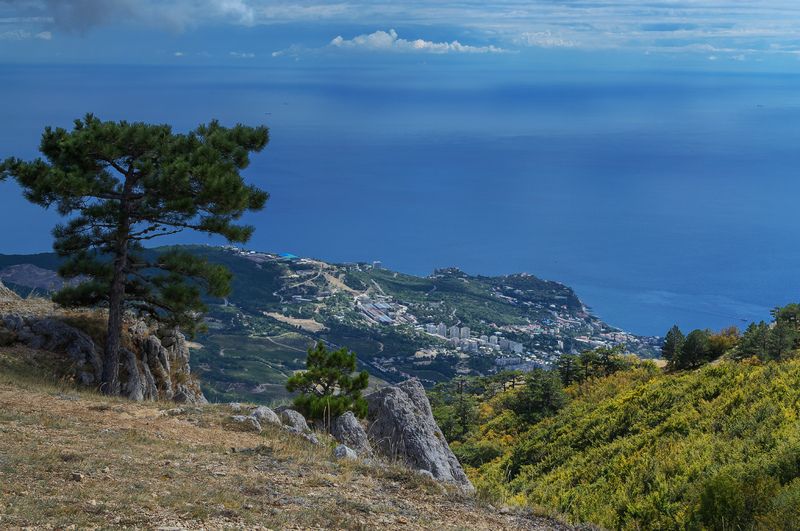 *** фото превью