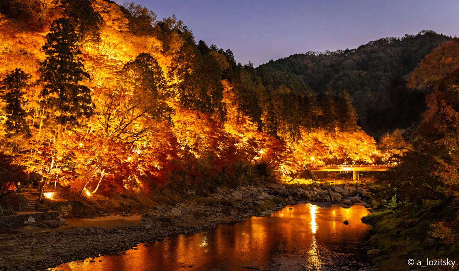 , Лозицкий Александр