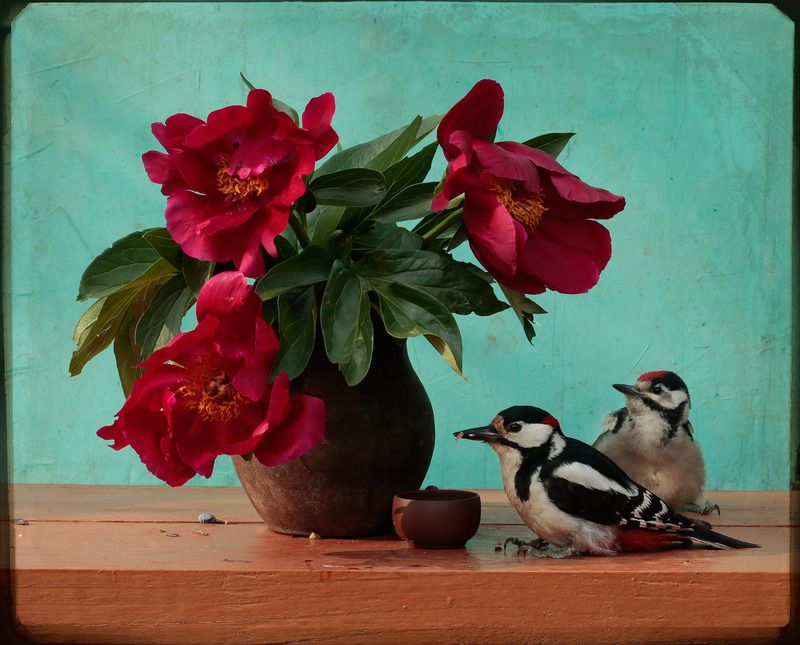 Отцы и дети 6 фото превью