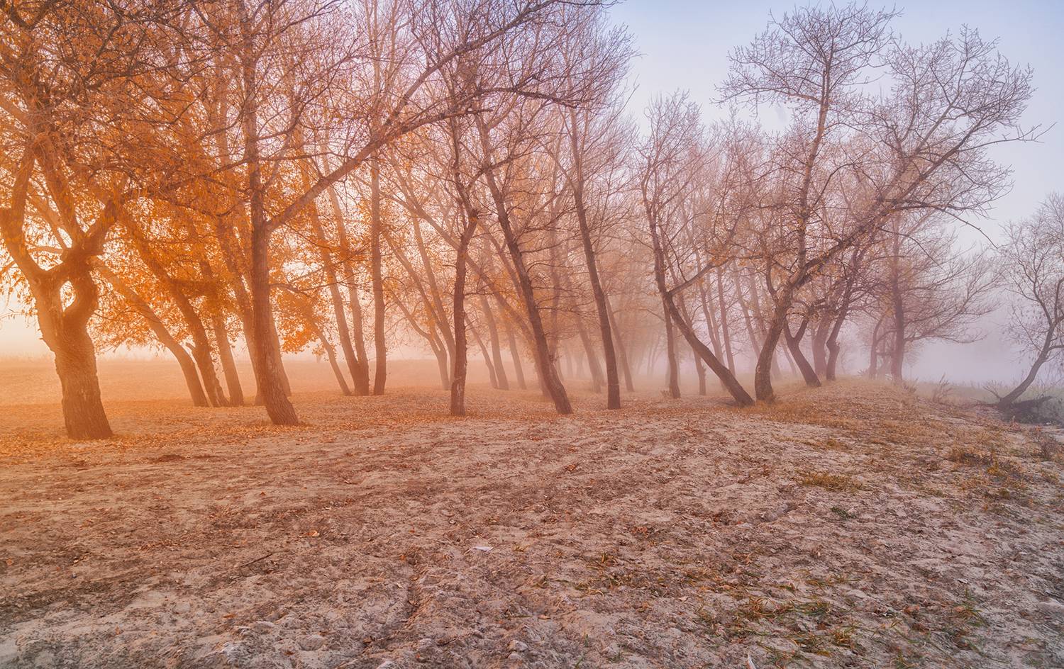 Россия, пейзаж, туман, природа, рассвет, Тобол, Курган, Лариса Дука