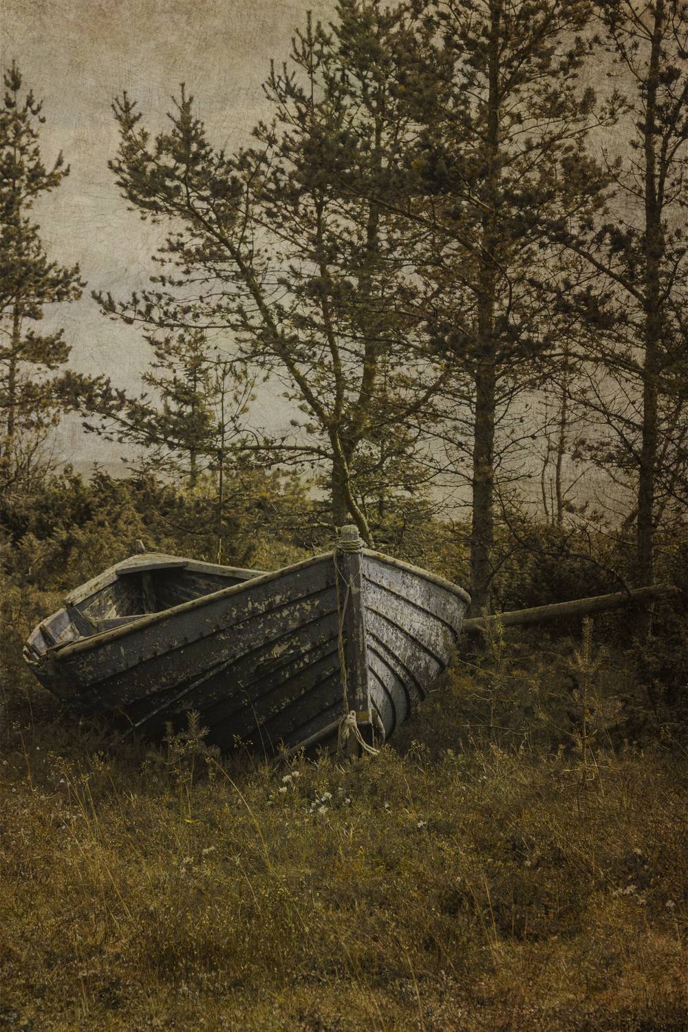 Север поморье, Сагдиева Эльвира