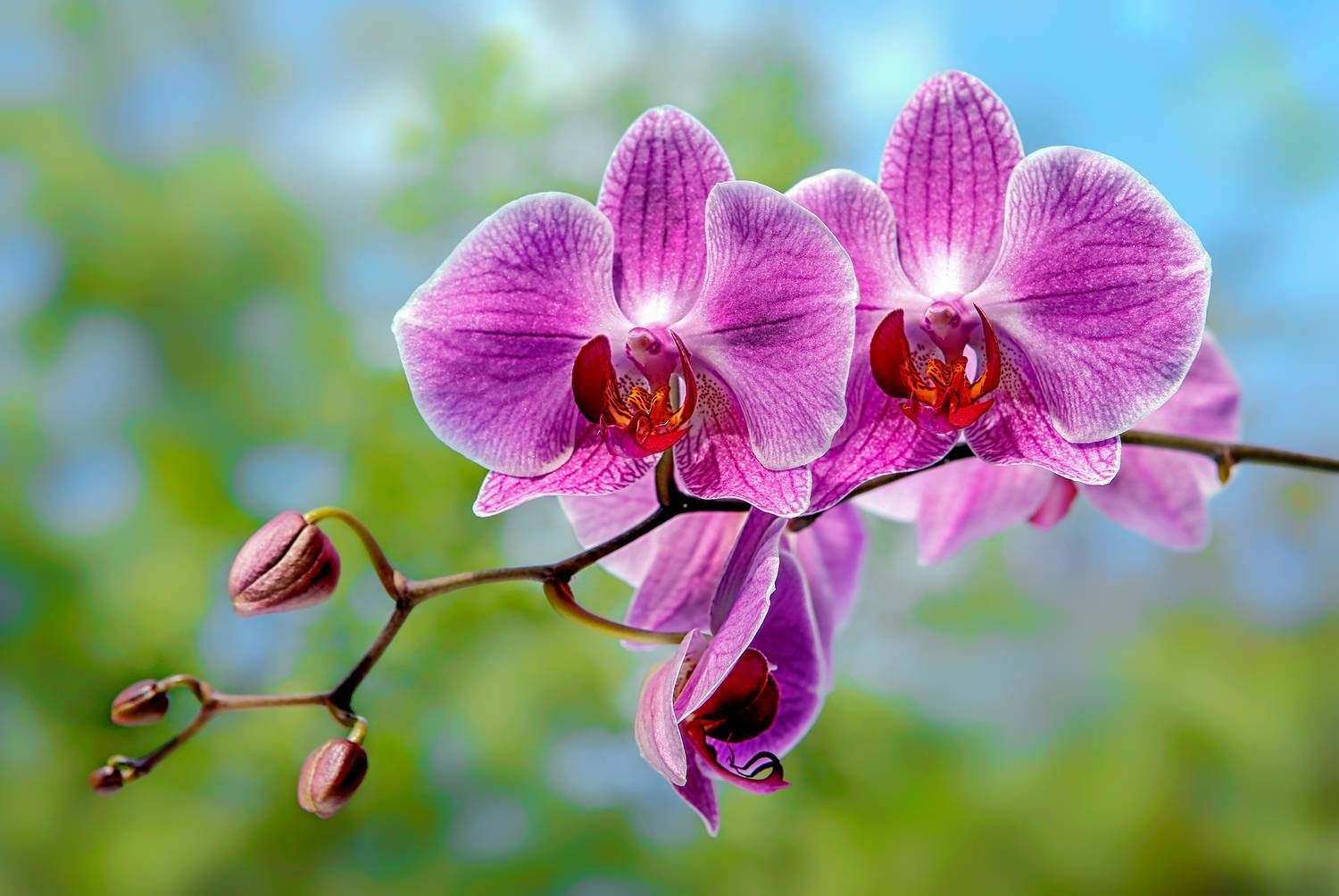 , Ушаков Валерий