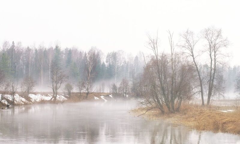 Апрельские зарисовки.... фото превью