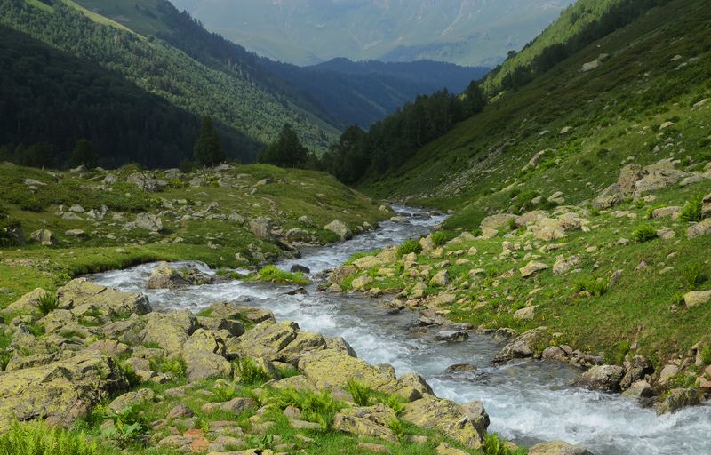 У реки. фото превью