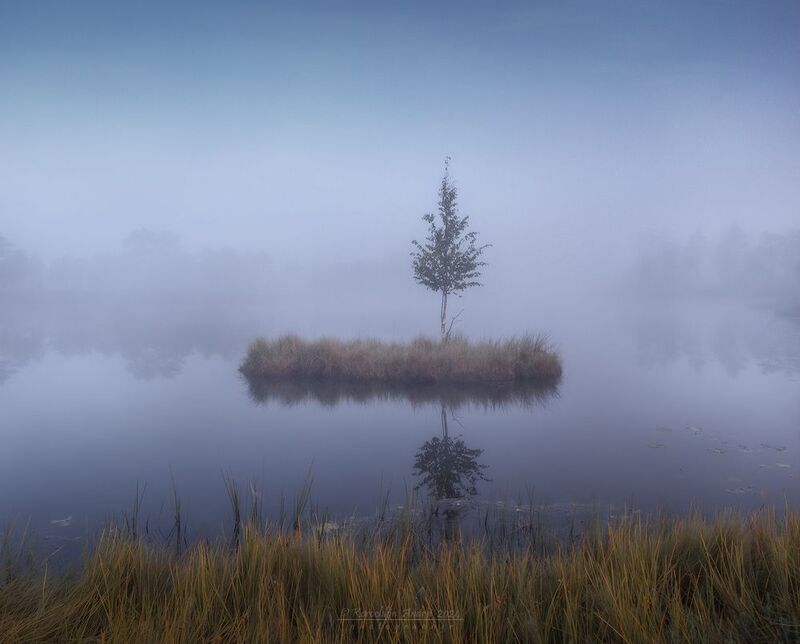 ... ленивое летнее утро ... фото превью