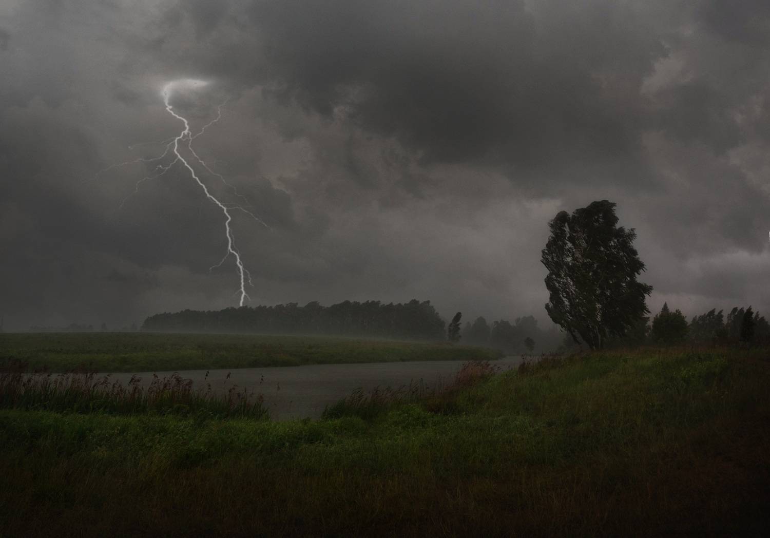 лес, свет, утро, природа, Баранов Олег