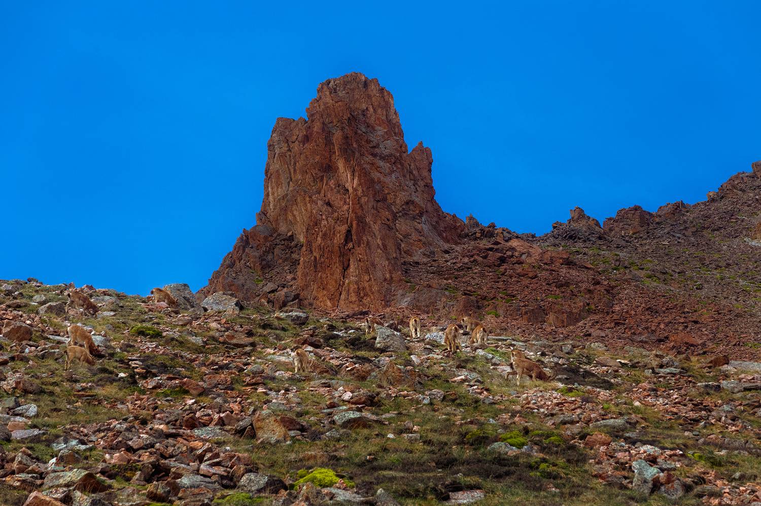 кыргызстан, ала-арча, Элина Магалимова