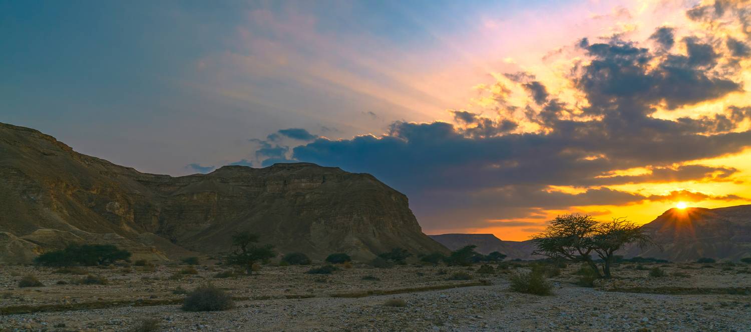 , Шварцман Евгений