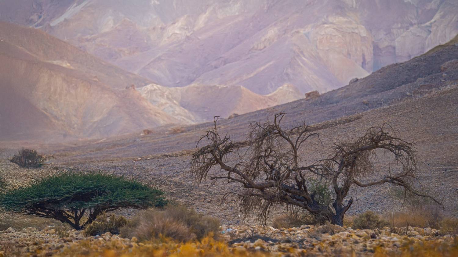 , Шварцман Евгений