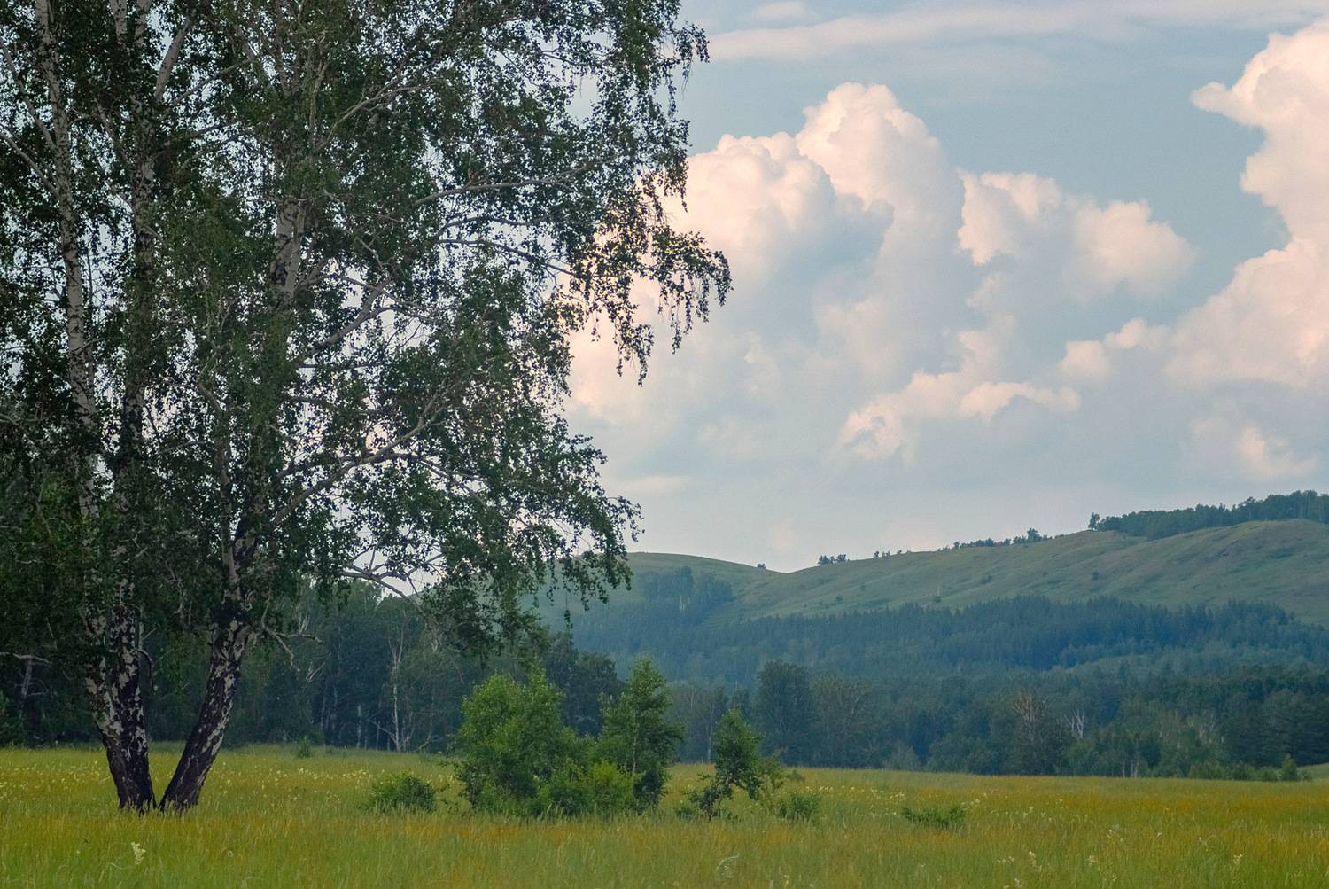 s5pro + таир 11а 135/2,8, Шустиков Дмитрий