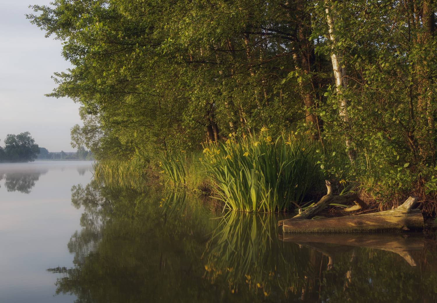 , Бонина Ольга