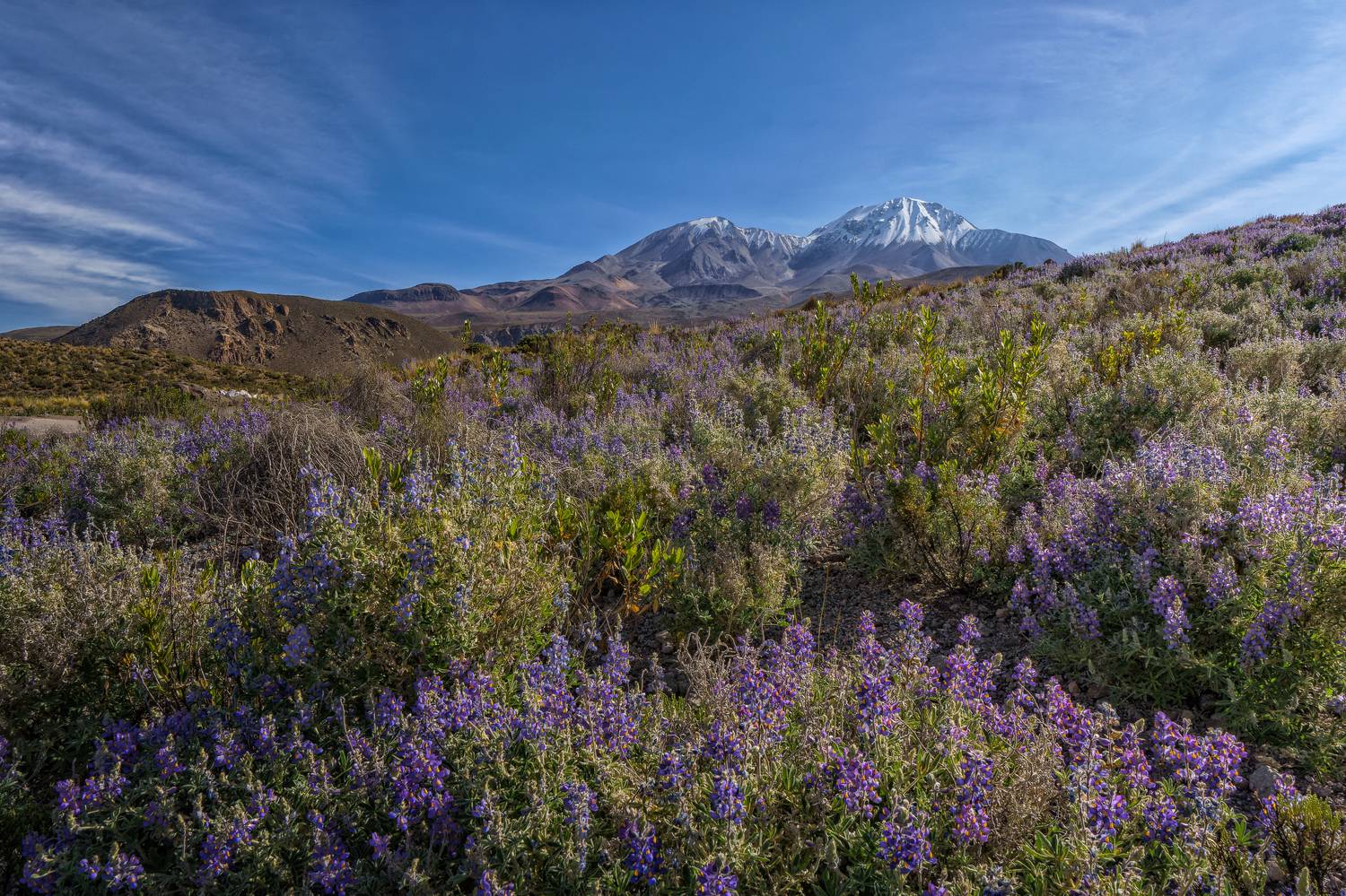 , RODRIGUEZ PROST JULIO