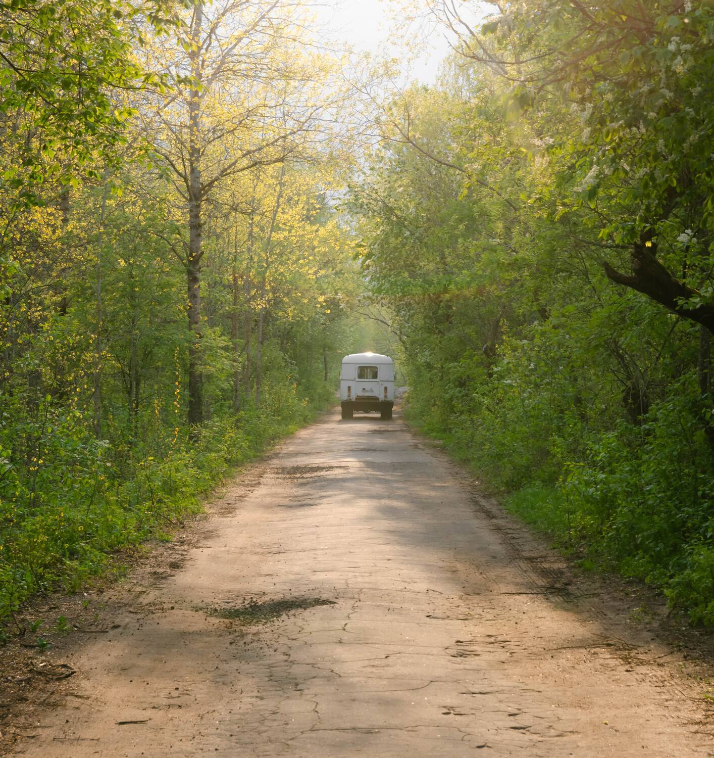 солнце, лучи, пейзаж, лес, дорога, деревья, автобус, Alexey S