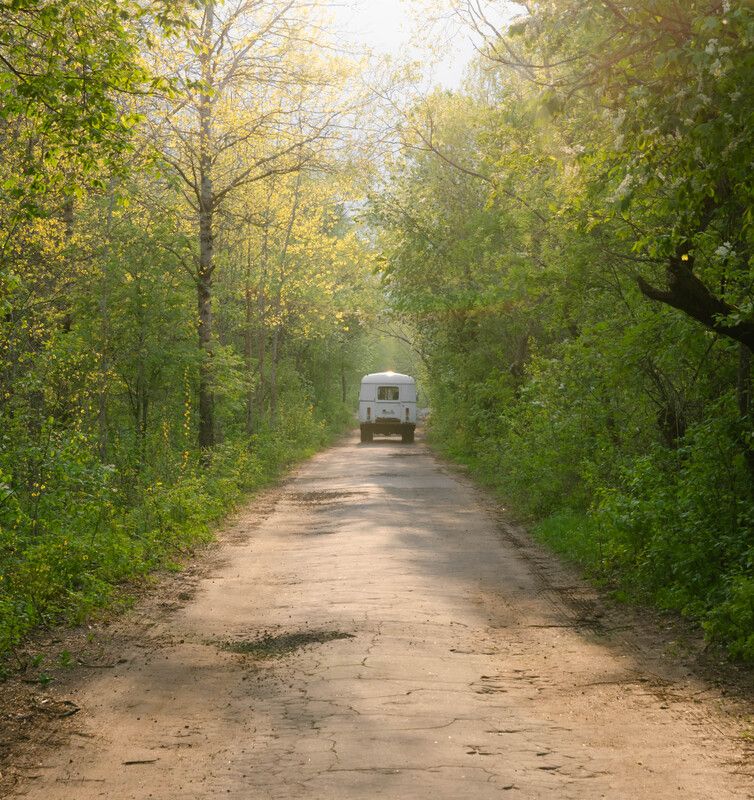 солнце, лучи, пейзаж, лес, дорога, деревья, автобус Дорога в лесу фото превью