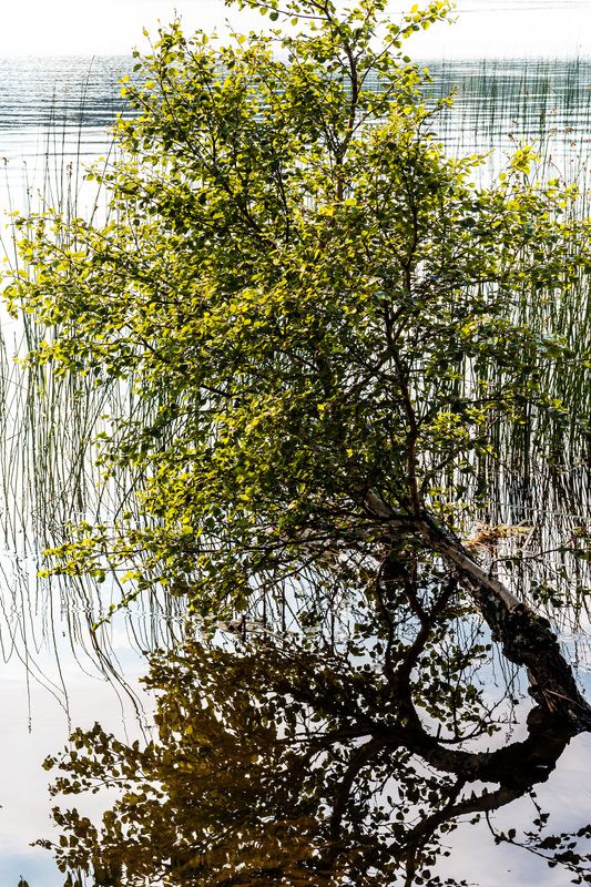 ******* фото превью