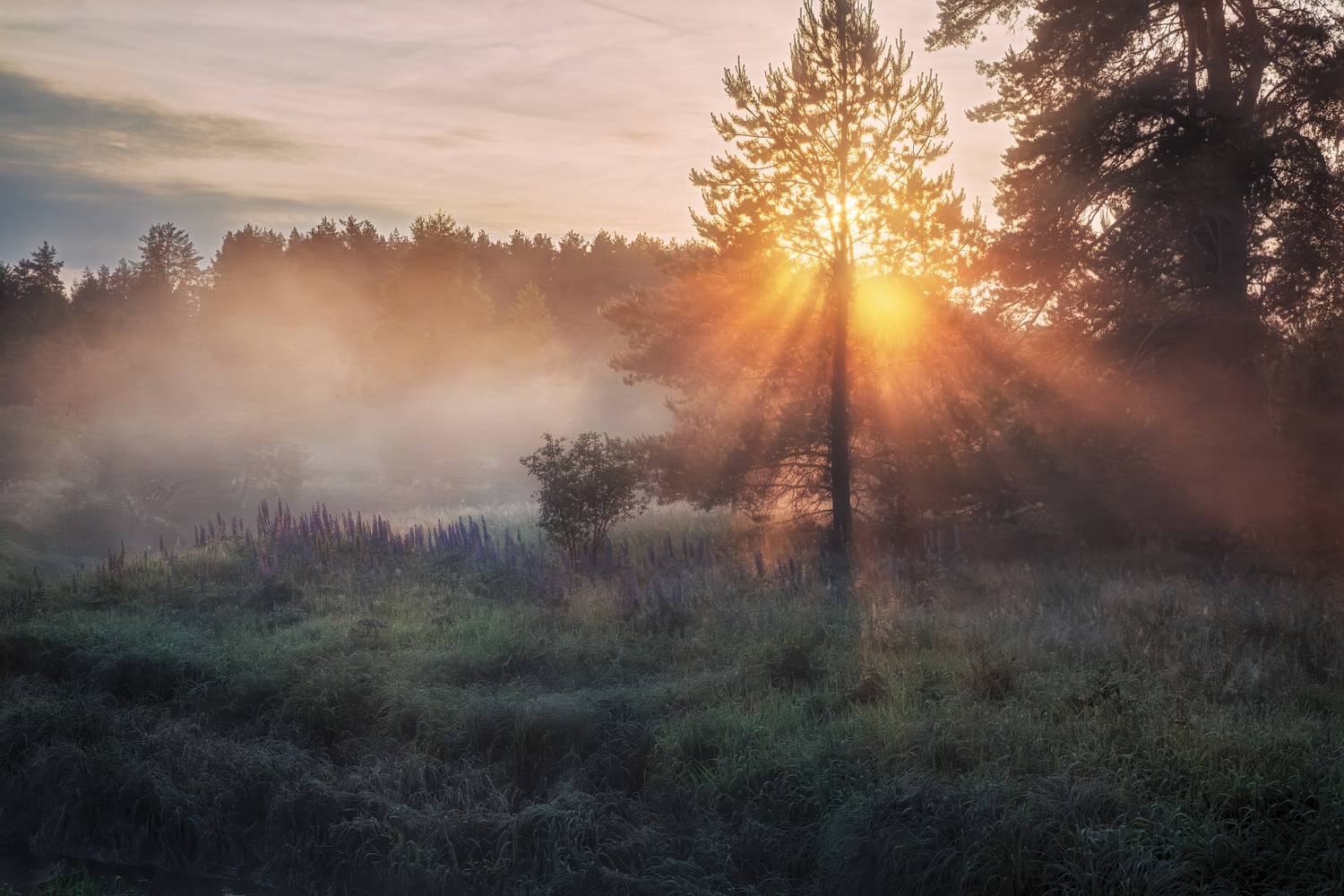 , Евгений Ерохин