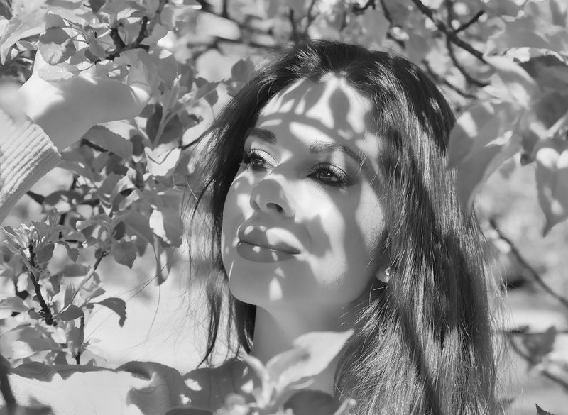 фото превью