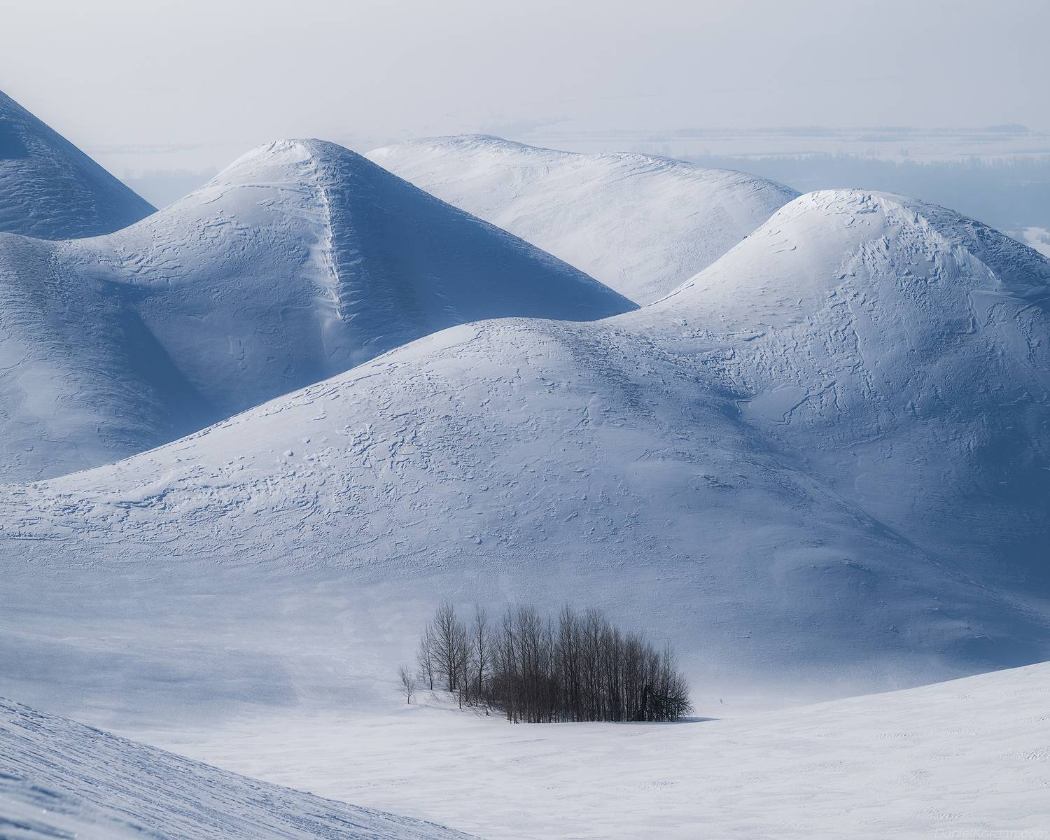 , Даниил Коржонов