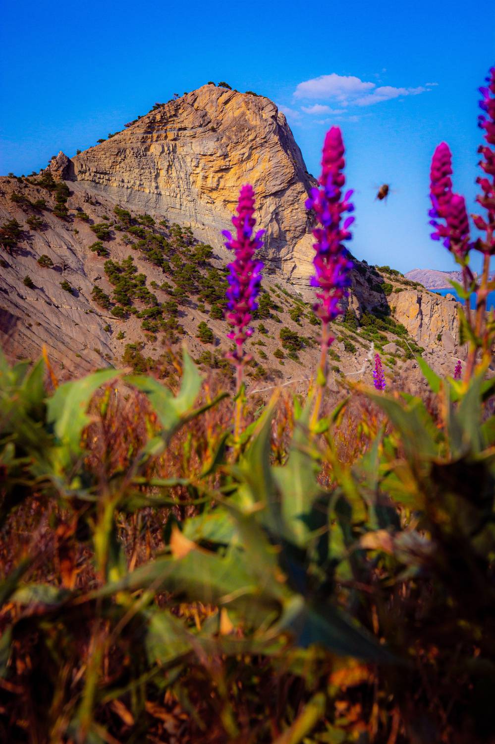 , Алексей Ильин