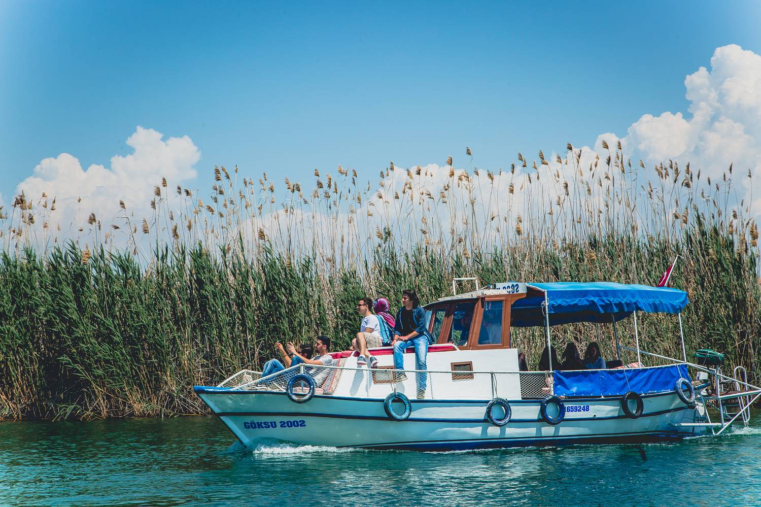 , Трепольский Дмитрий