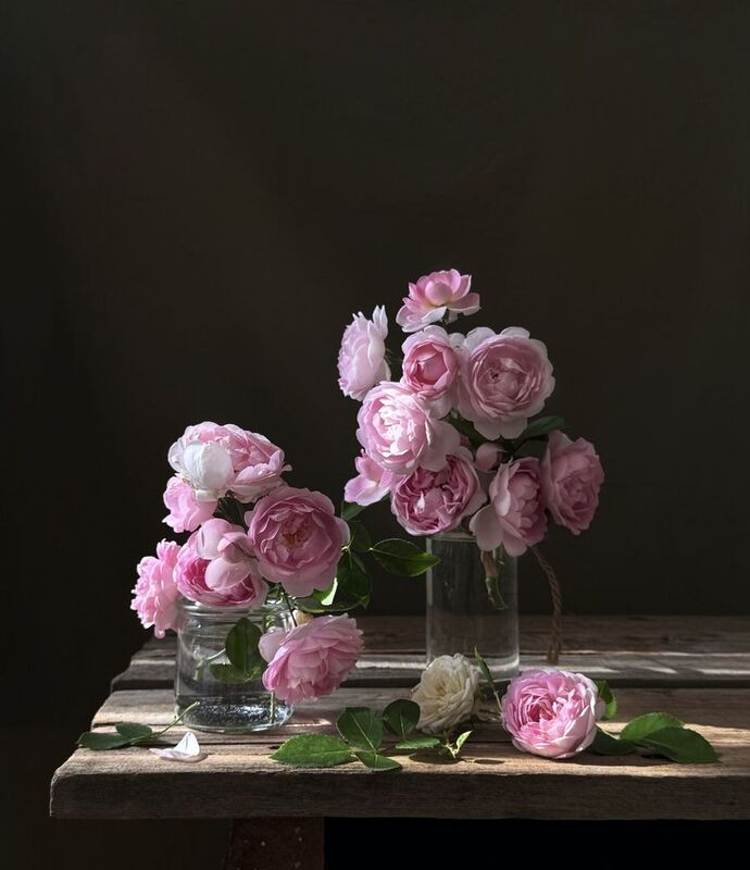 Розовая нежность фото превью