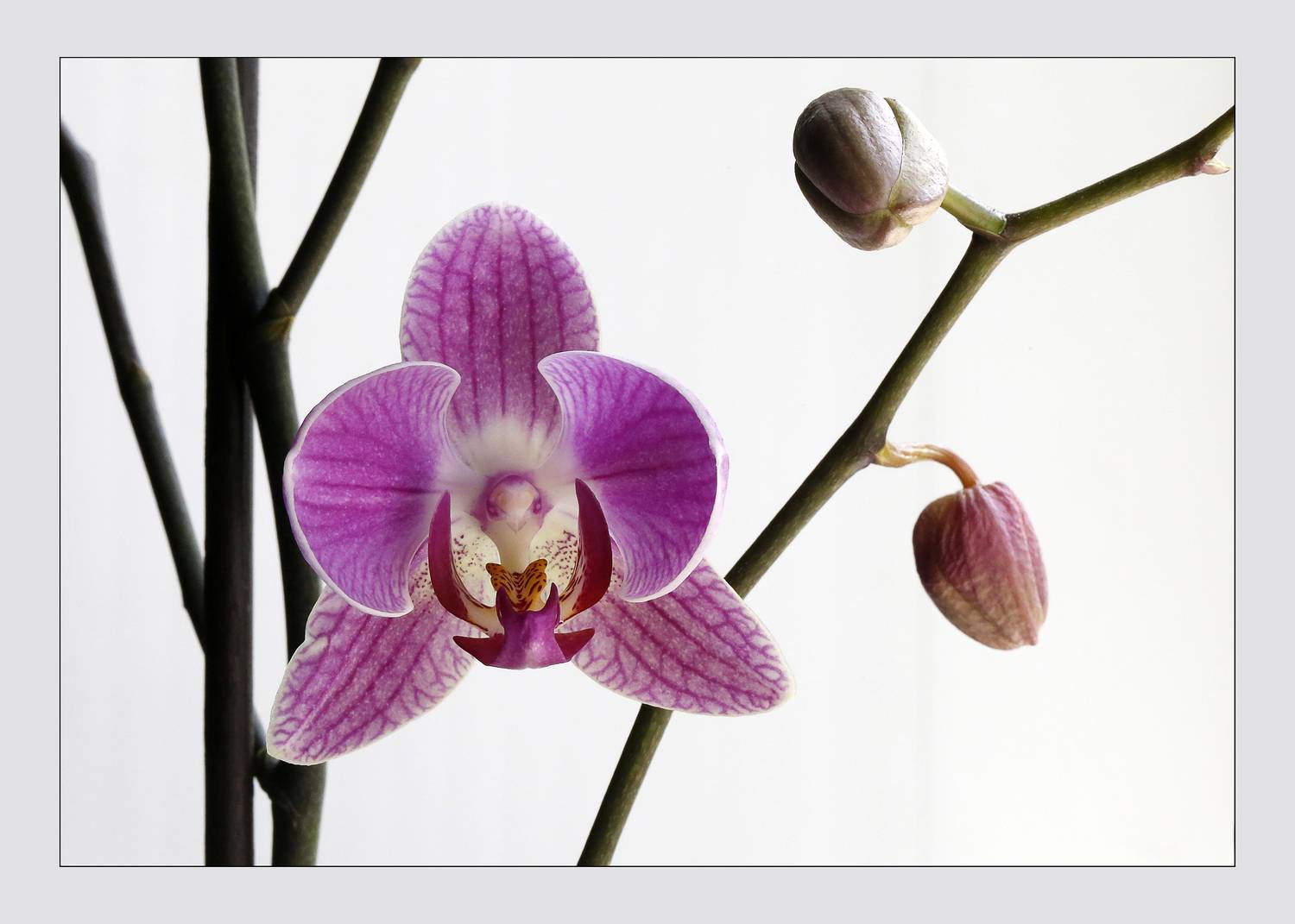 , Ушаков Валерий