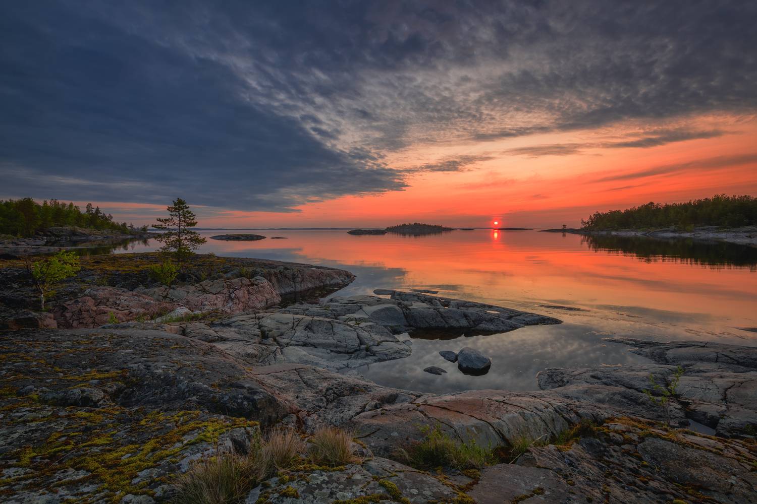 , Евдокимов Максим